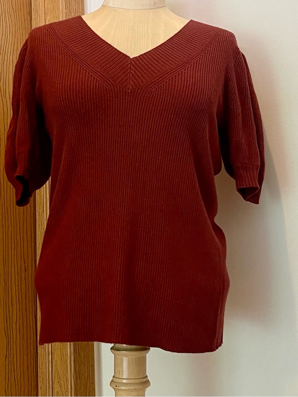 LOFT V-Neck Short Sleeve Ribbed Sweater in Rust Red